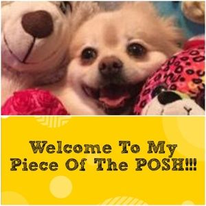 🛍👚👖👠POSH AMBASSADOR 👙👛👜🧣